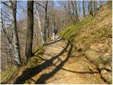 Zvodno - Grmada above Celje